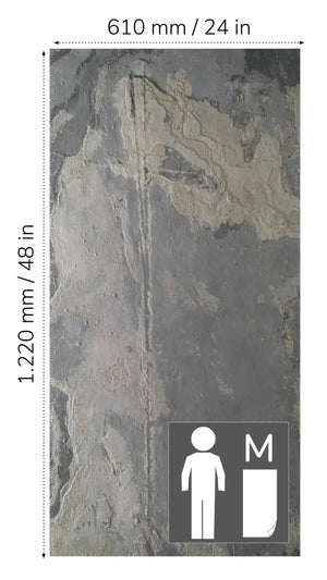 Translucent RUSTIQUE