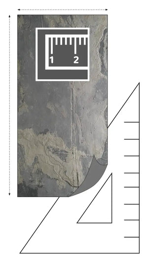 Translucent RUSTIQUE